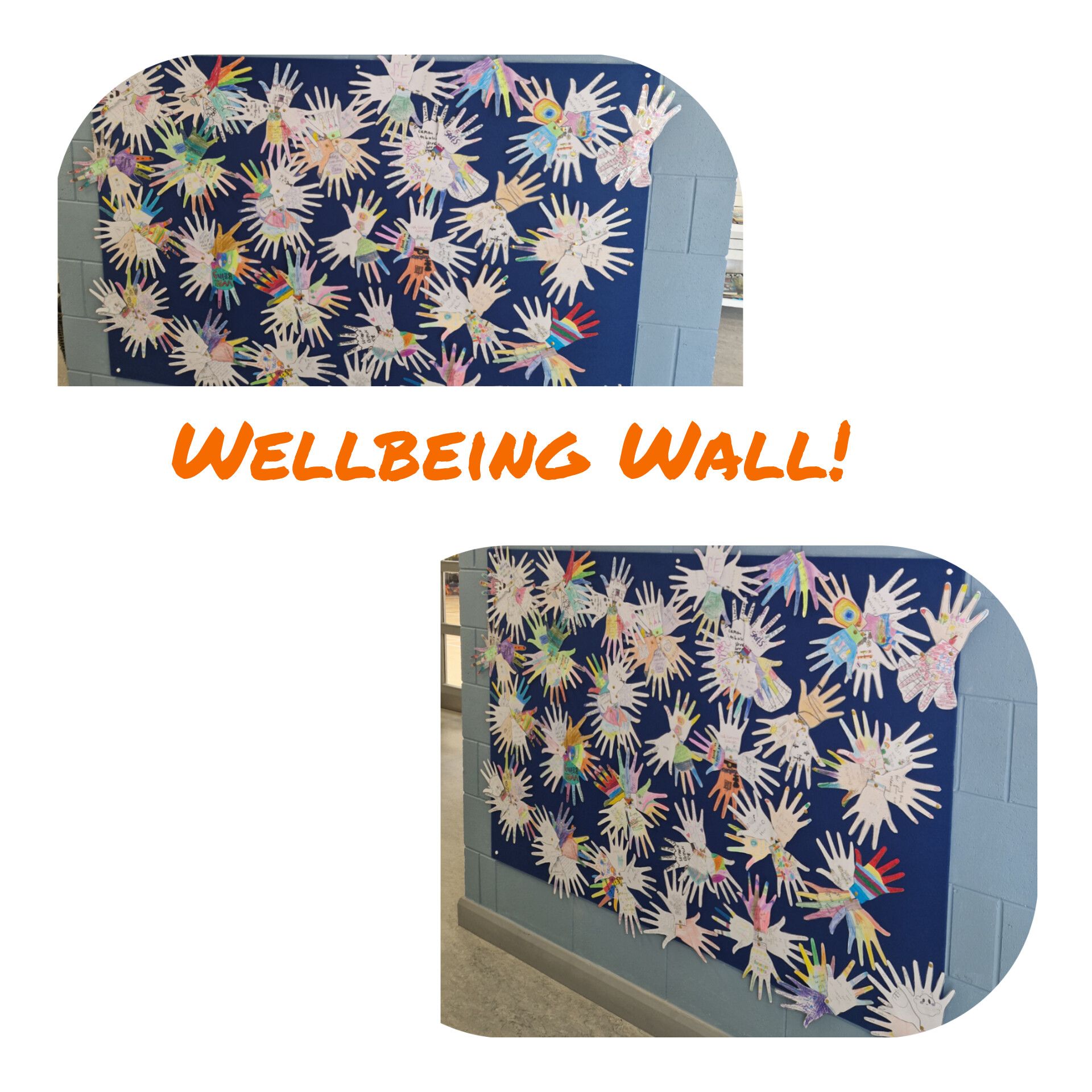 InShot 20250510 174634259