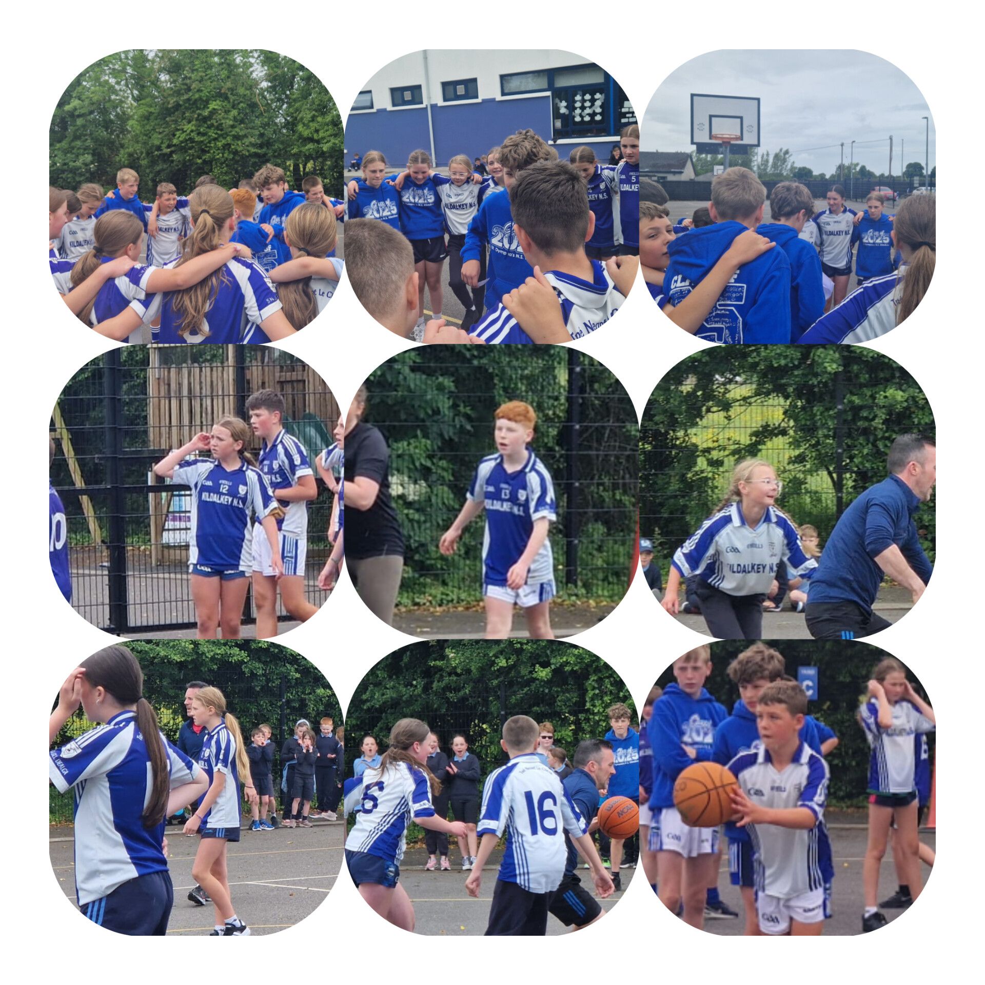 InShot 20250604 175425344 1